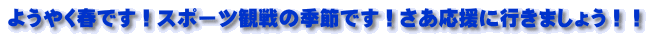 ようやく春です!スポーツ観戦の季節です!さあ応援に行きましょう!!