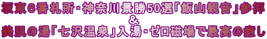 坂東６番札所・神奈川景勝50選「飯山観音」参拝 　　　　　　　　　　　　　　＆ 美肌の湯「七沢温泉」入湯・ゼロ磁場で最高の癒し