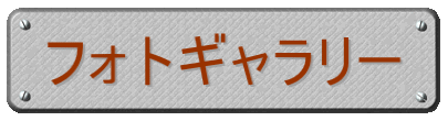 フォトギャラリー